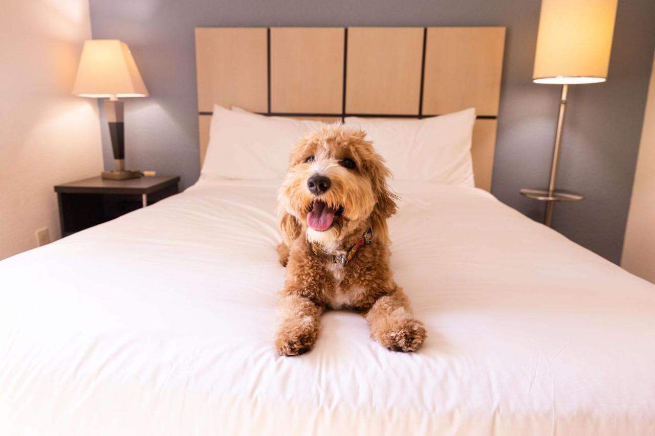 Sonesta Simply Suites Chicago リバティビル エクステリア 写真